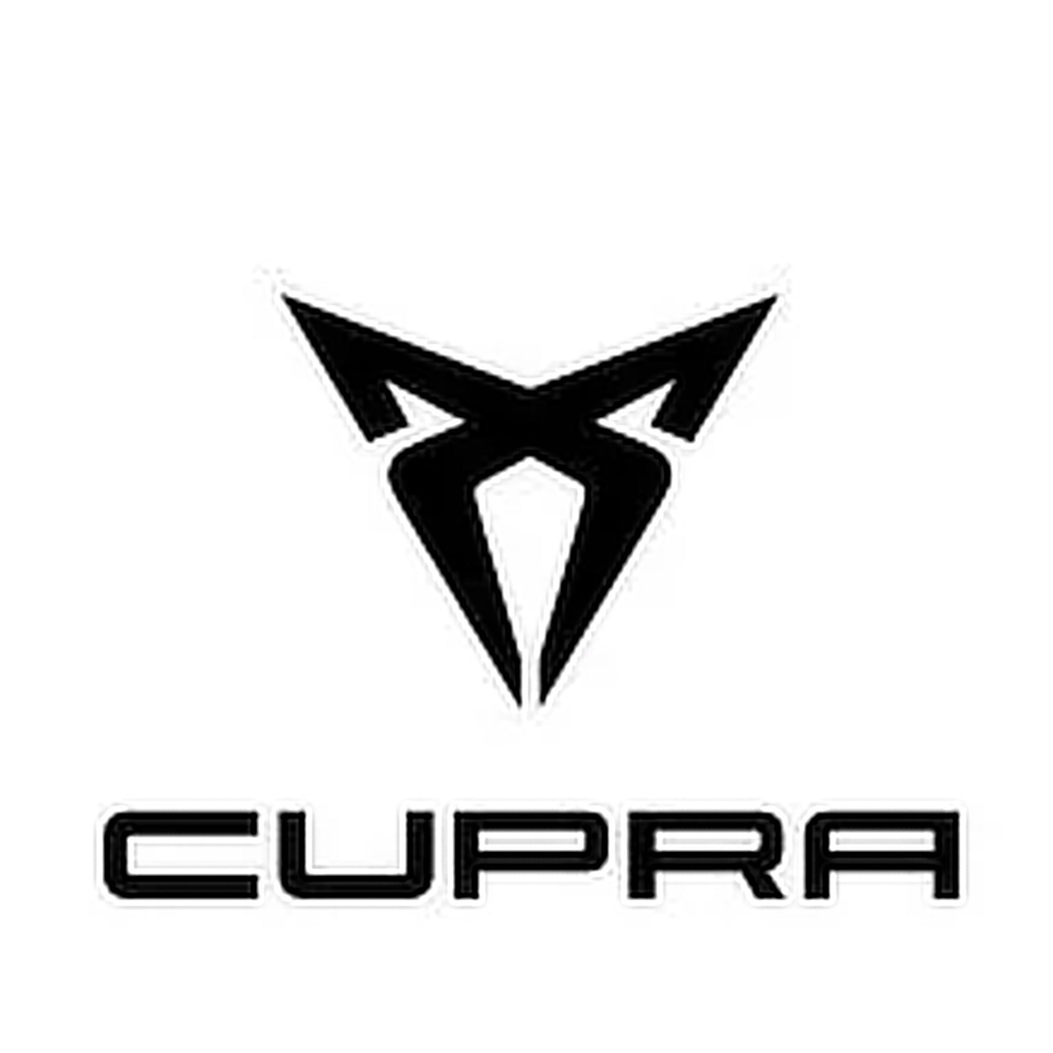 Cupra Sound System Upgrade Packages