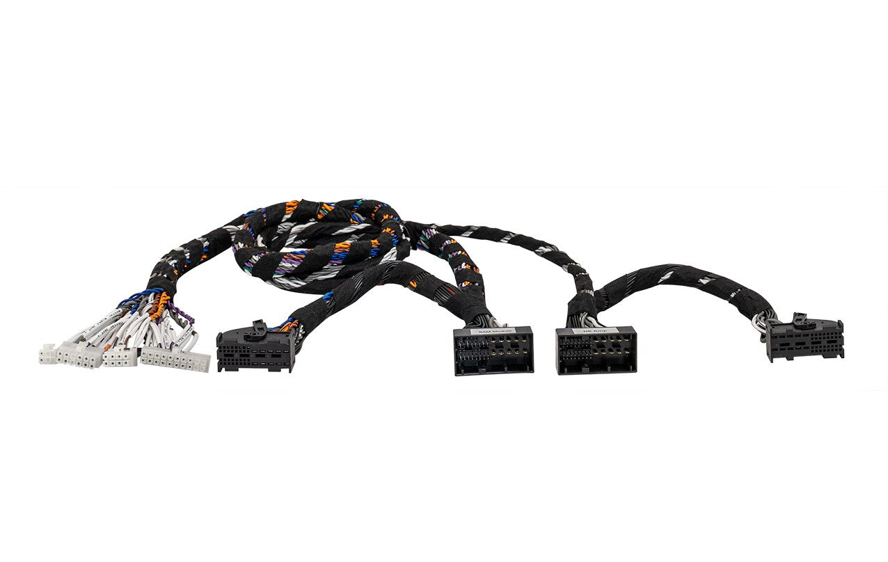 MATCH PP-BMW 1.9RAM-HK - Harness For MATCH UP 10DSP To Fit BMW Harman Kardon & RAM Module (G Gen)